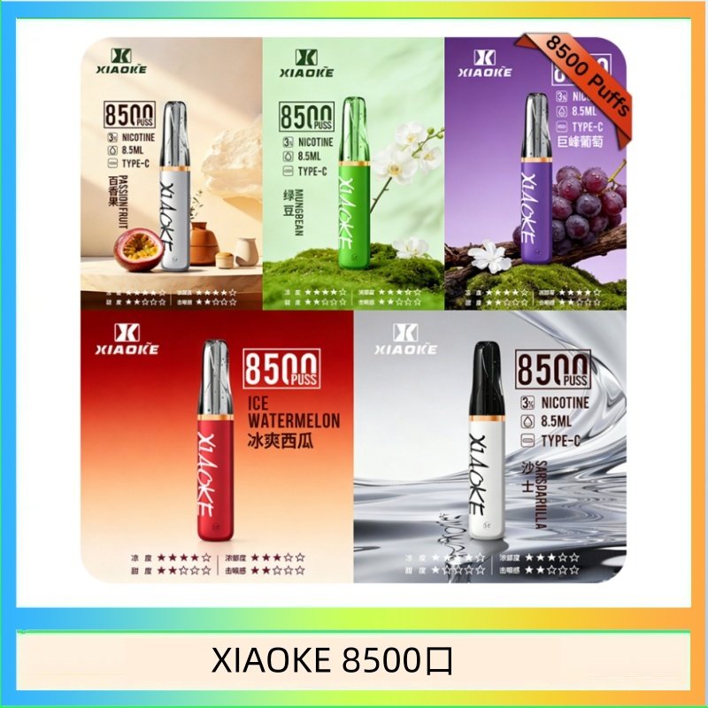 XIAOKE8500 梟客XIAOKE一次性電子菸拋棄式8500口